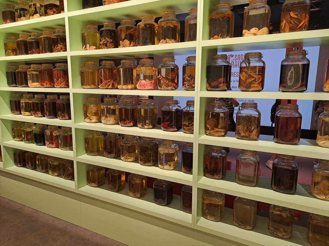 La Saga du Rhum-留尼旺圣皮耶必去景点