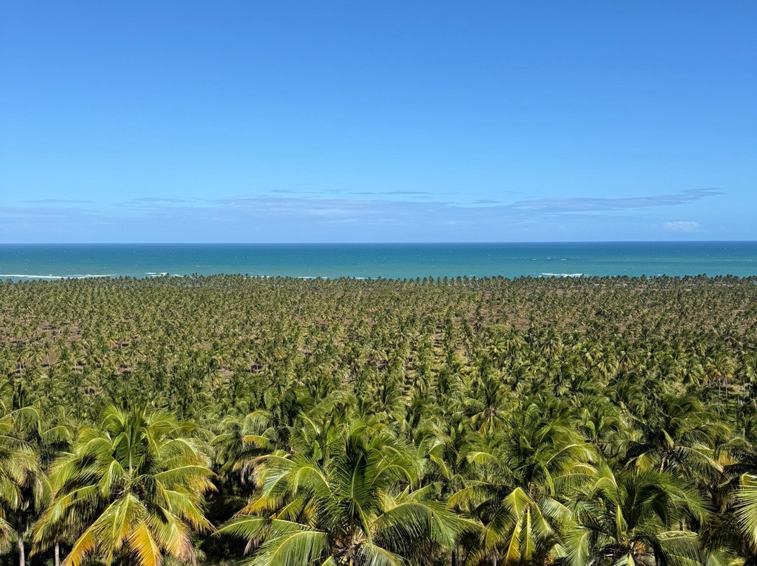 Mirante do Gunga-Roteiro必去景点