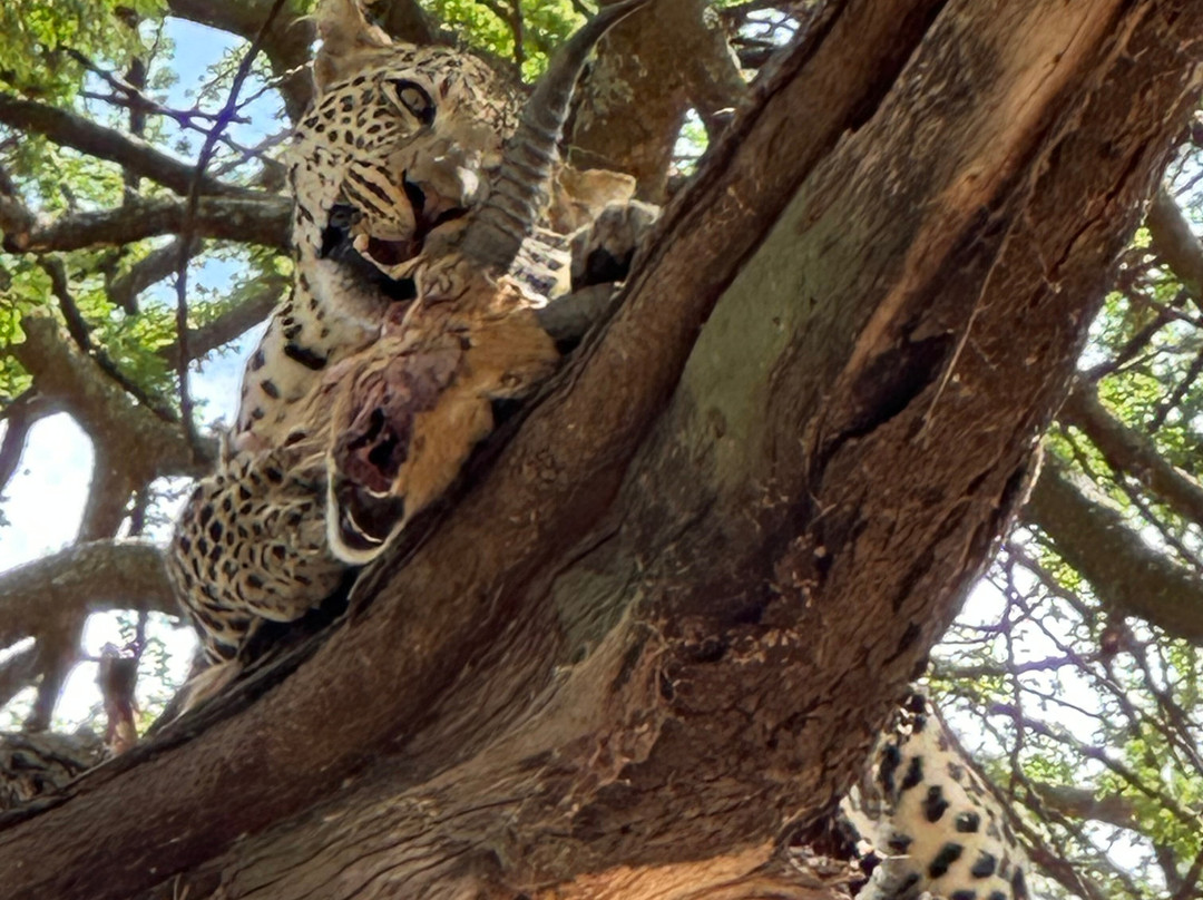 BADGER ADVENTURES TOURS & SAFARI-Arusha Chini必去景点