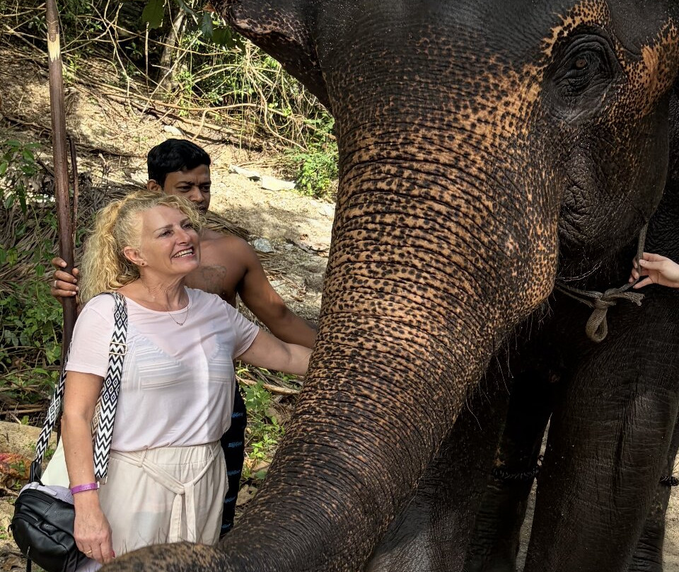 NF Travels and Tours-Ja Ela必去景点