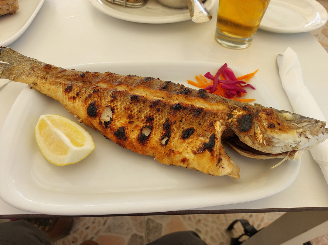 Sabor Amar - Fish Factory