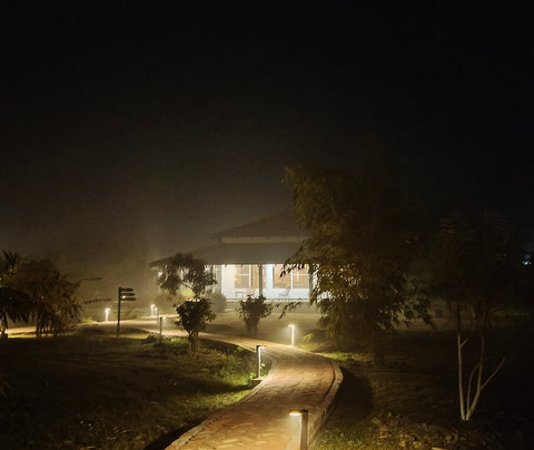 Camp TigerLily主图