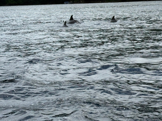 Dive BlueMotion-Banda Neira必去景点