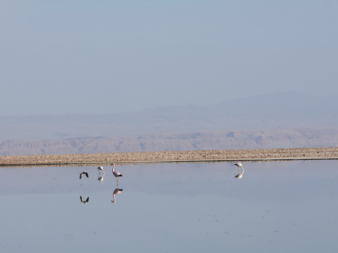 Agencia De Turismo Alabalti Atacama-圣佩德罗-德阿塔卡马必去景点