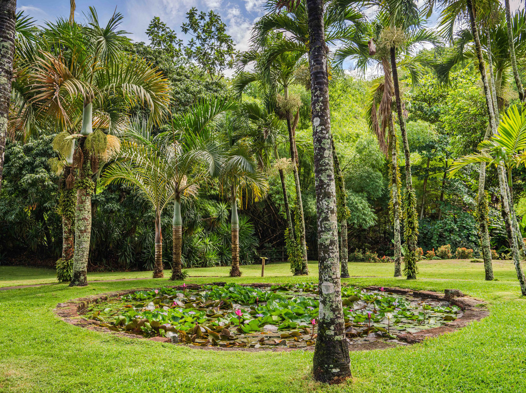 Zoo de Martinique-Le Carbet必去景点