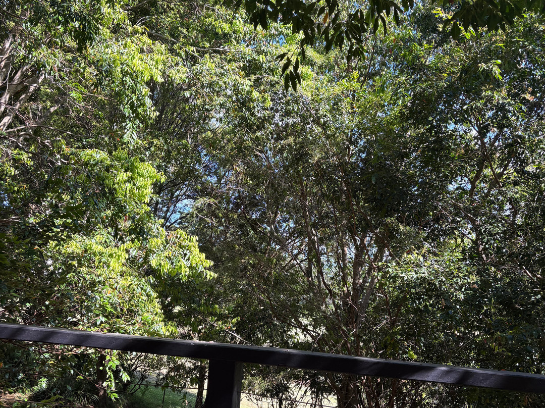 丹百林花园大酒店主图