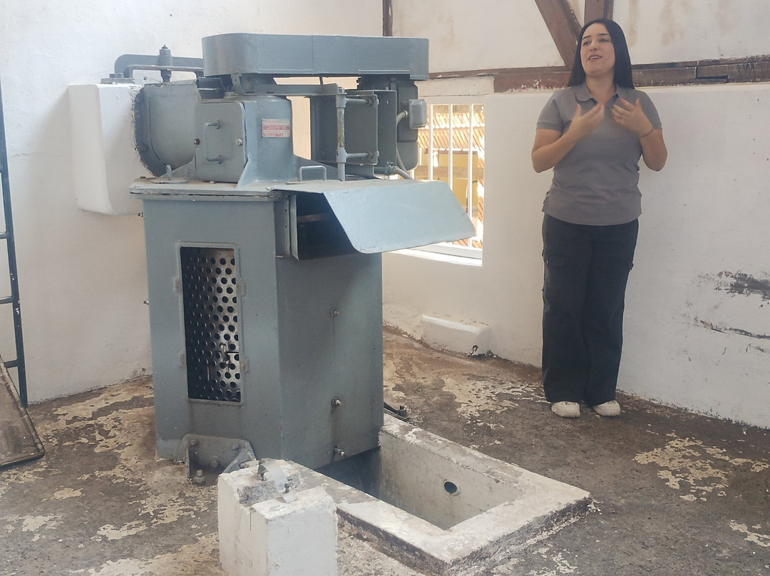 Fundo Los Nichos-Pisco Elqui必去景点