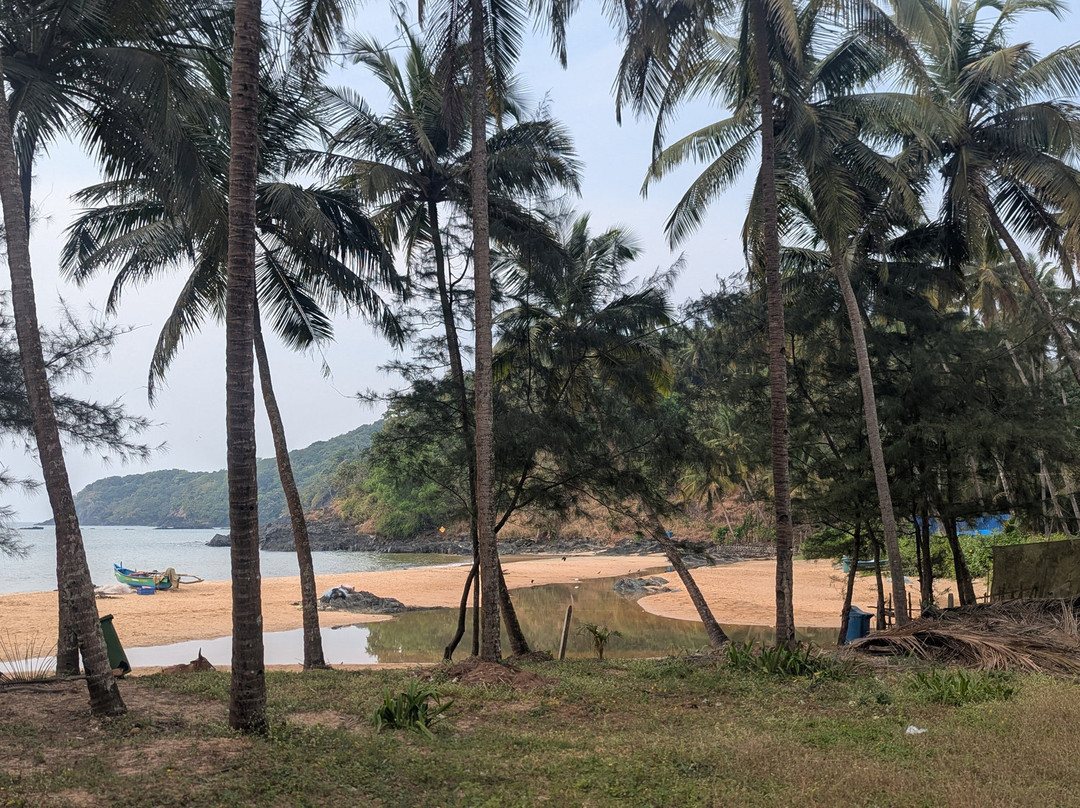 Kamaxi Beach Resort Goa主图