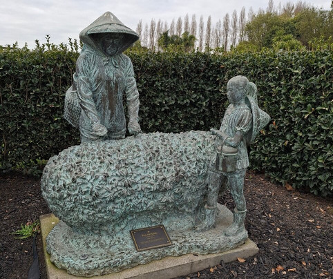 Zealong Tea Estate-汉密尔顿必去景点