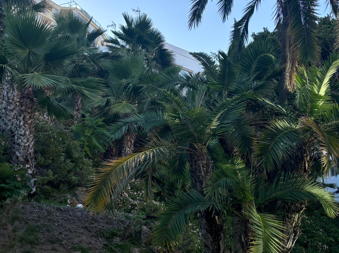 Casa de los Navajas-托雷莫里诺斯必去景点