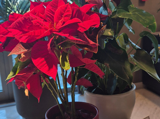 米兰菲尔亚多米纳酒店主图