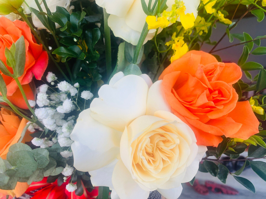 Thien Long Cave-卡巴必去景点