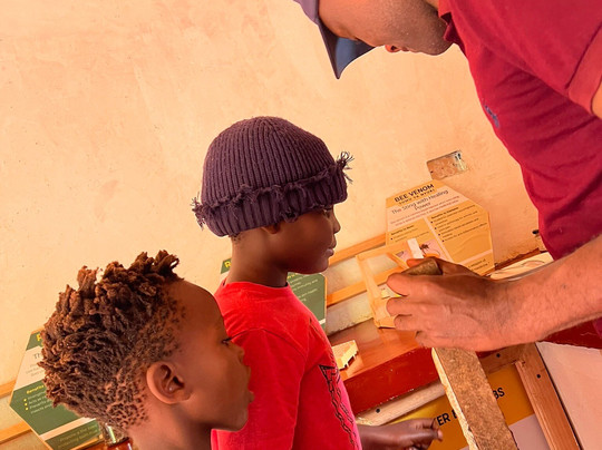 Lushoto Apiculture Museum-卢绍托必去景点