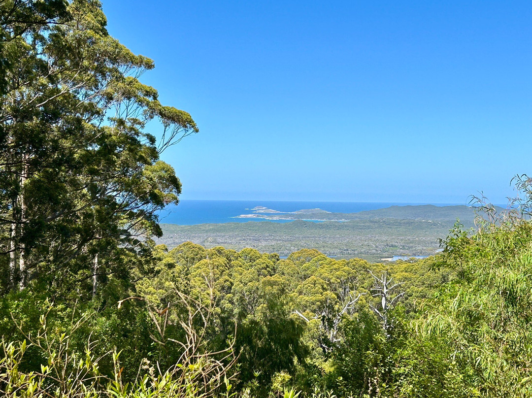 Giant Tingle Tree-沃泊尔必去景点