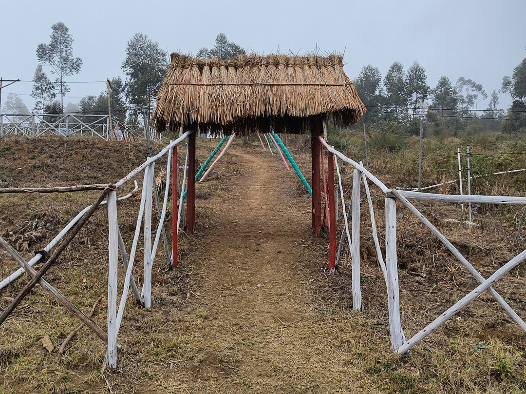 Wild Mist Camp Kanthalloor