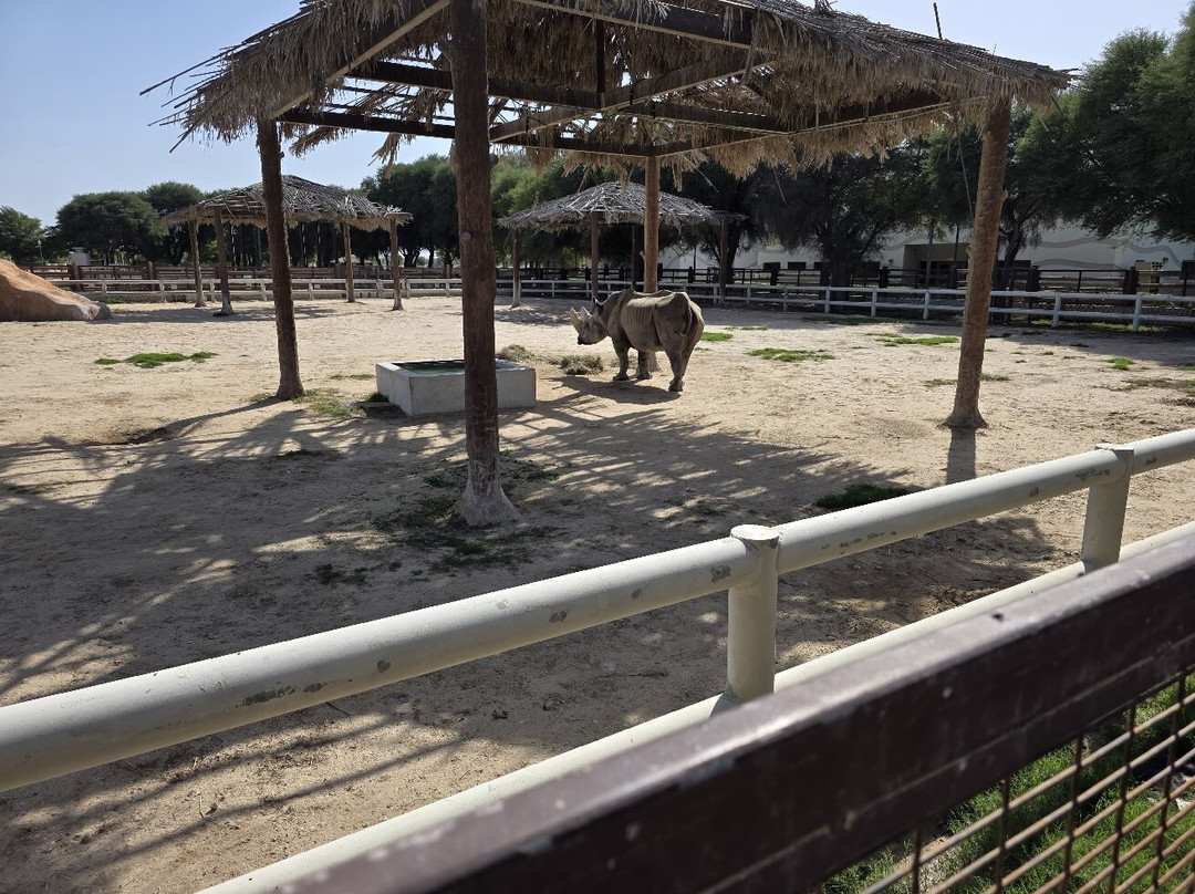 Al Khor Park-Al Khor必去景点