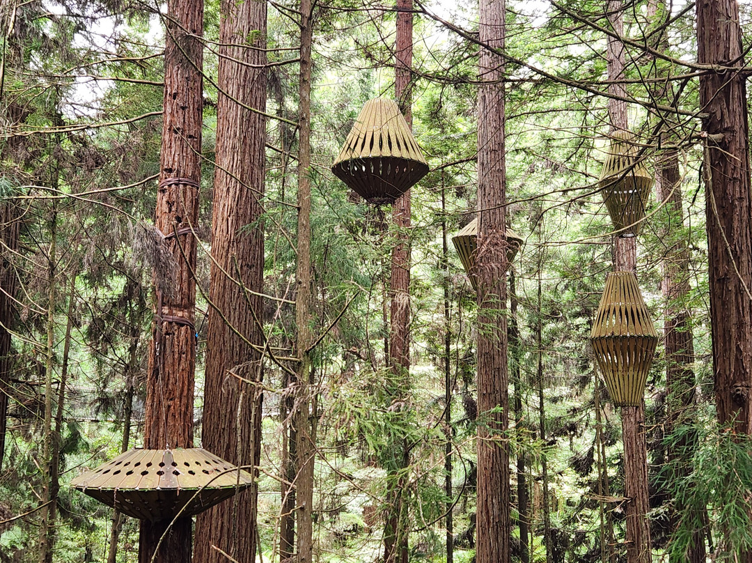 A Day in the Bay-Papamoa必去景点