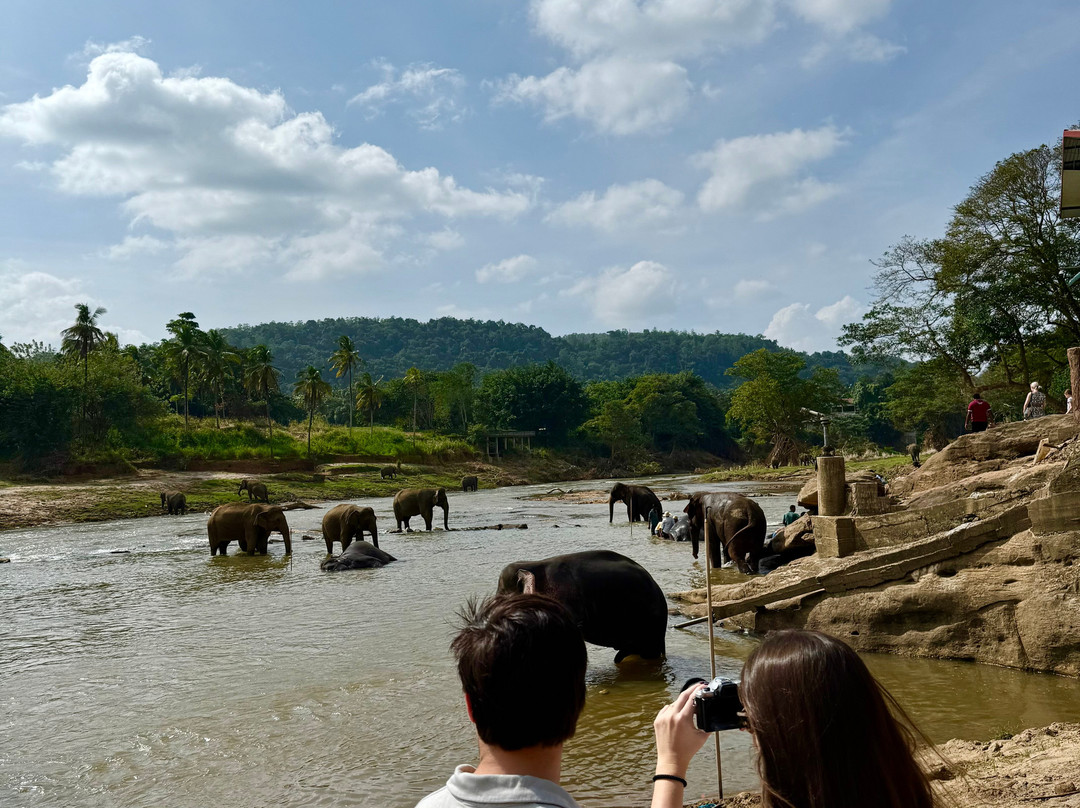 Aash Travels-Polgahawela必去景点