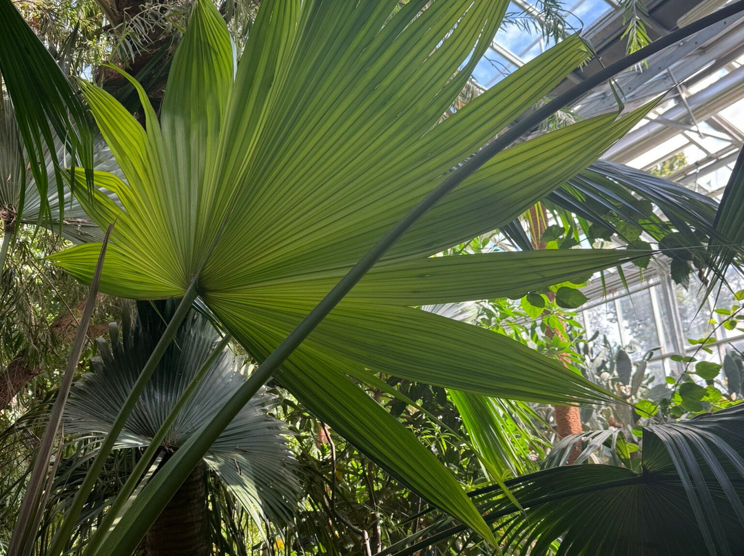Botanical Garden of the University of Szeged-塞格德必去景点