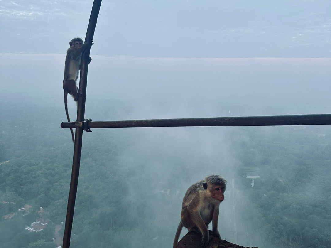 H.O.T Tourism-科伦坡必去景点