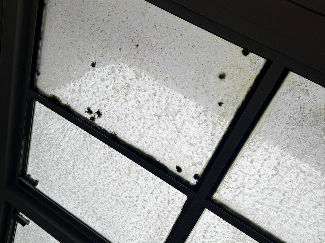 Falkirk Wheel-福尔柯克必去景点