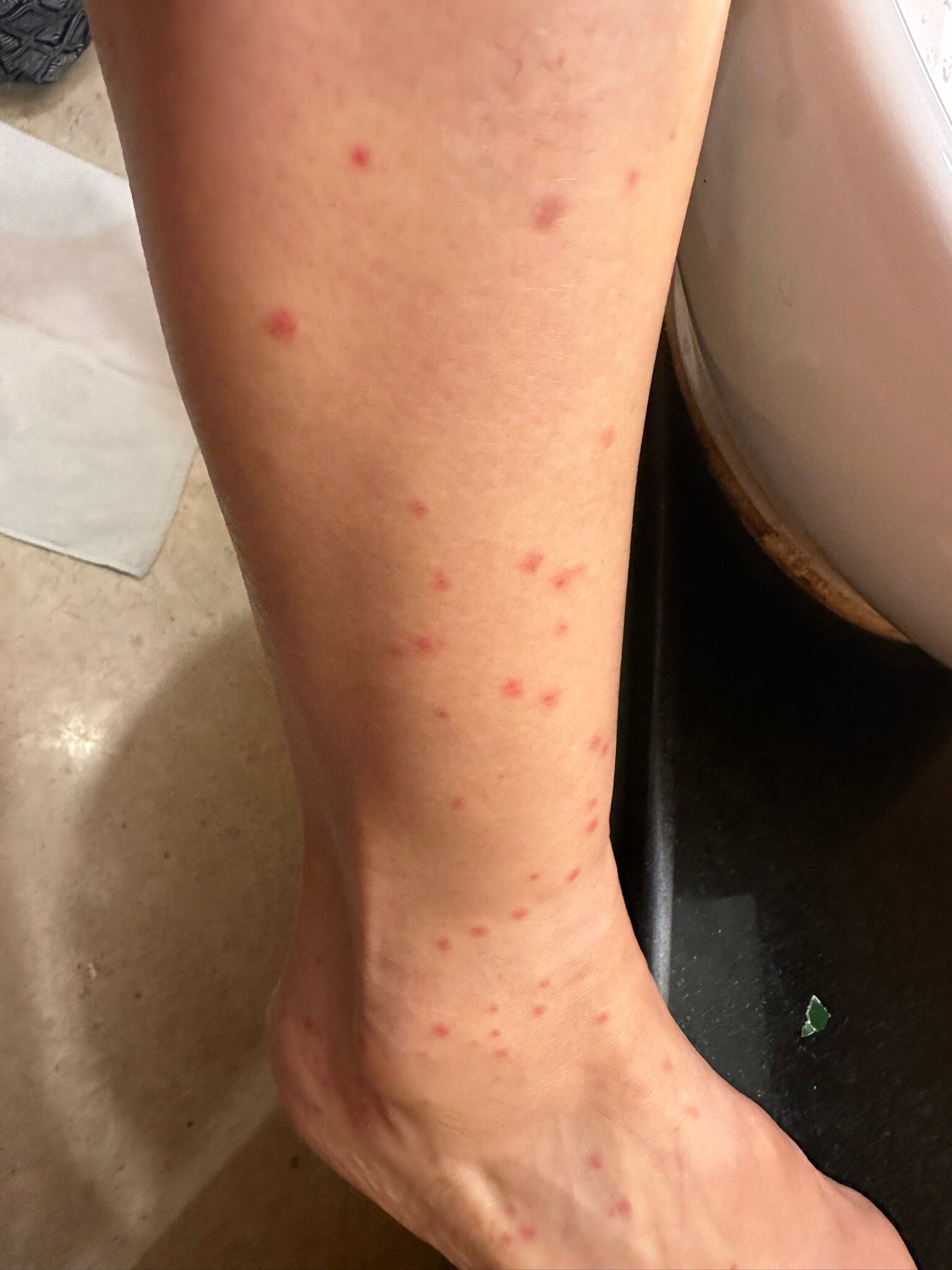 Olive Downtown-官方