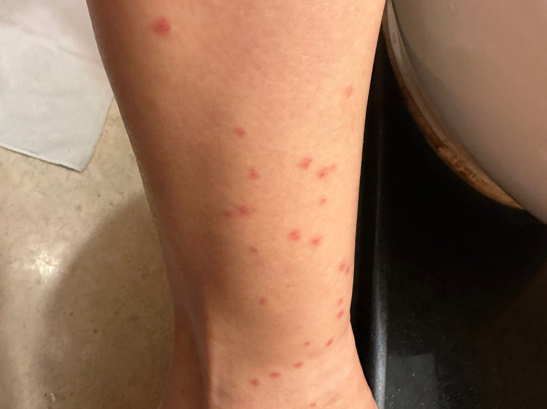 Olive Downtown主图