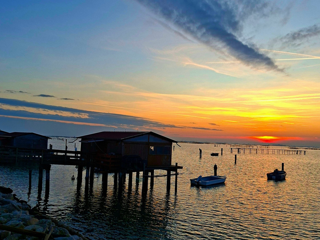 Parco Delta Del Po-科马基奥必去景点