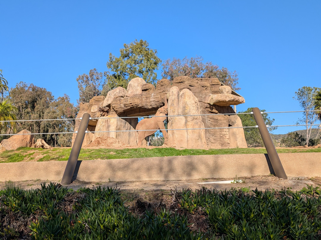 圣地亚哥野生动物公园-埃斯孔迪多必去景点