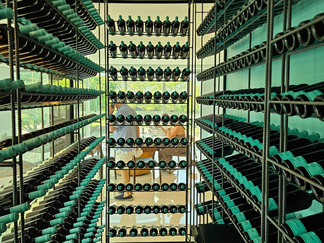 Vinhedos Capoani-本图贡萨尔维斯必去景点