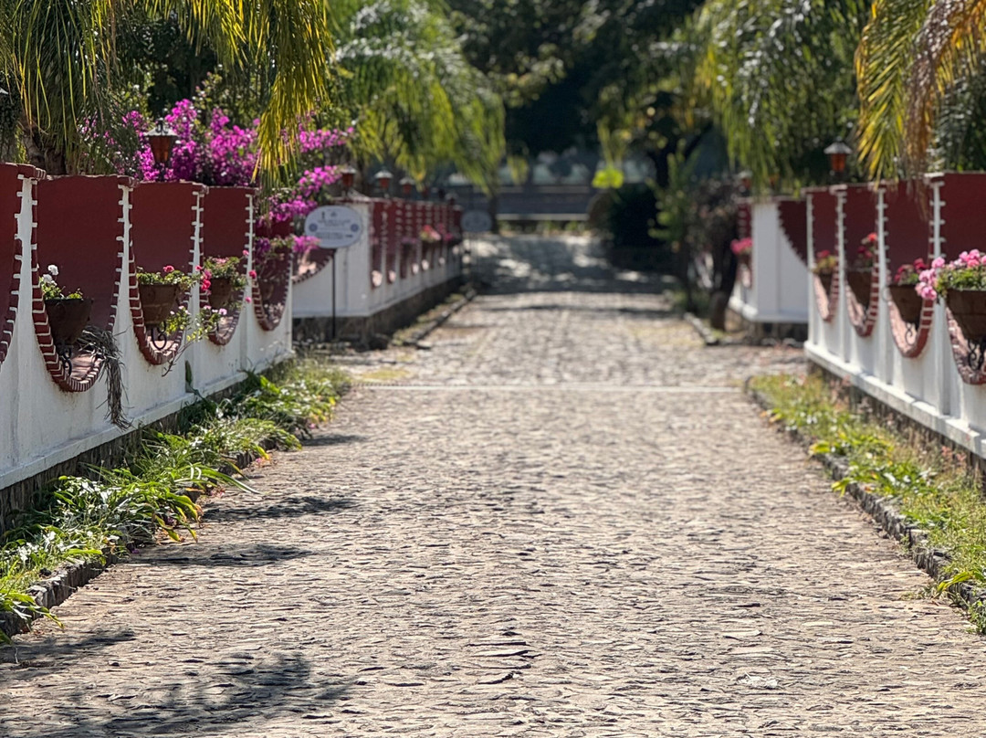 Tequila Fortaleza-特基拉必去景点