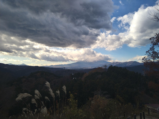 Yamakita Tsuburano Park-山北町必去景点