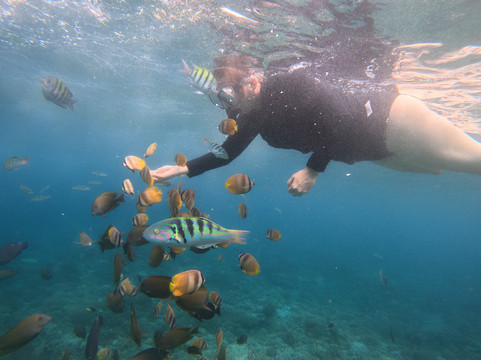 Bali Su Tours-登巴萨必去景点