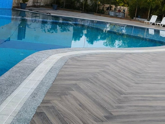 The Forest Chapter By Sayaji