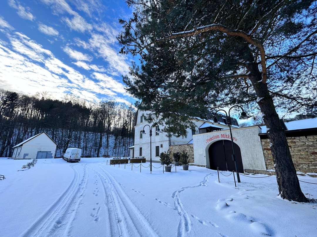 Penzion Mitkov主图