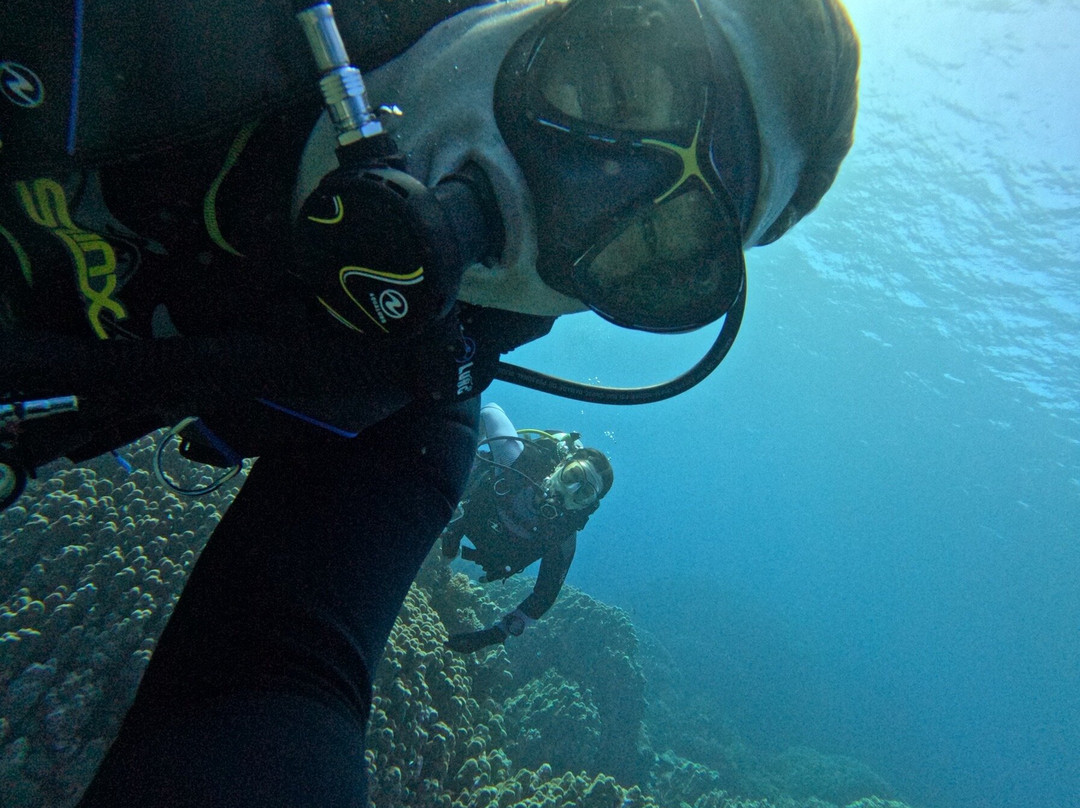 Orca Dive Club Safaga-Safaga必去景点