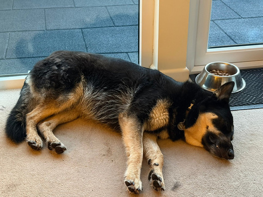 Mawgan Porth Golf Club-纽奎必去景点