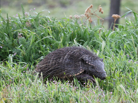 Far South Expeditions-蓬塔阿雷纳斯必去景点