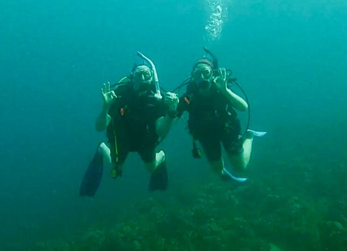 Dive Grenada-Grand Anse必去景点