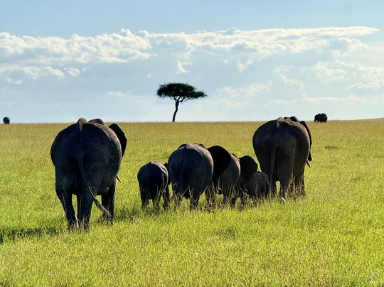 African Quest Safaris-蒙巴萨必去景点