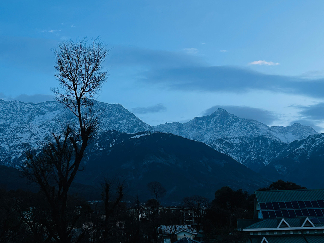 达然萨拉因菲尼提中心酒店主图