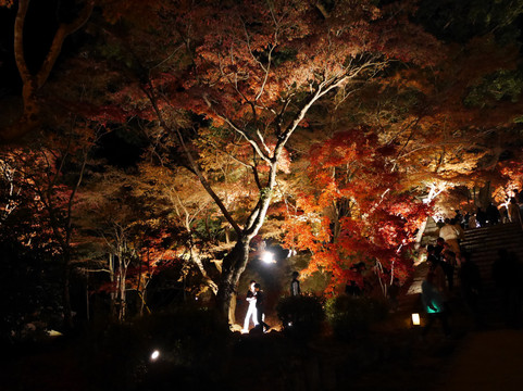 Kamado Shrine-太宰府市必去景点