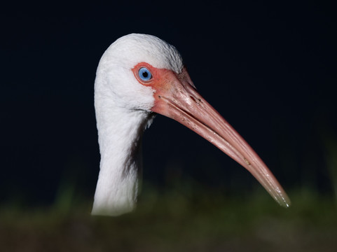 White City Park-匹尔斯堡必去景点