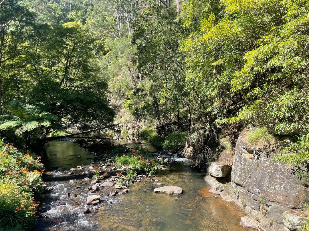 Strzelecki Trail Route 94-Tarra Valley必去景点