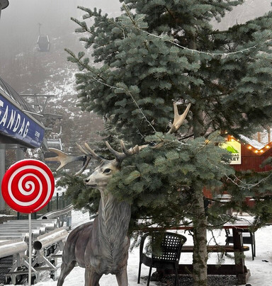 Azerbaijan Travel International-巴库必去景点