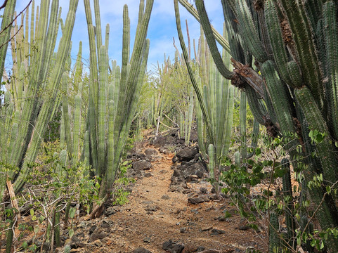阿勒柯克国家公园-Santa Cruz必去景点
