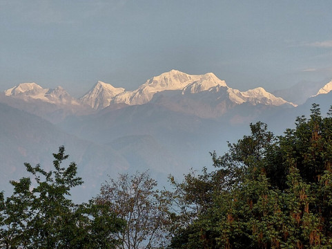 Green Leaf Resort主图