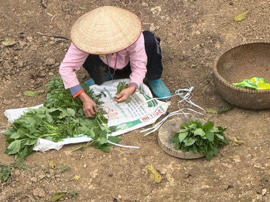 Vietnam City Breaks-Ba Dinh必去景点
