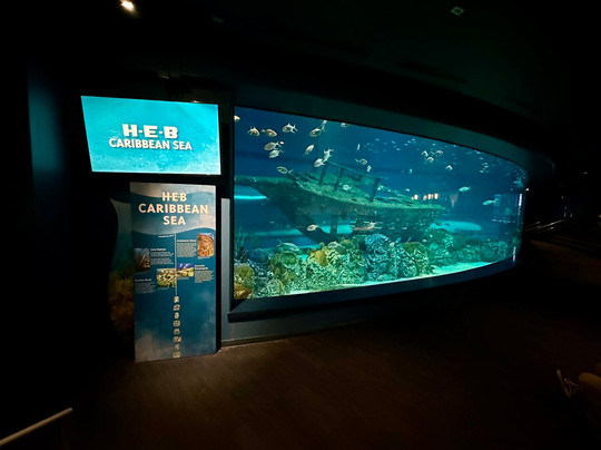Texas State Aquarium-科珀斯克里斯蒂市必去景点