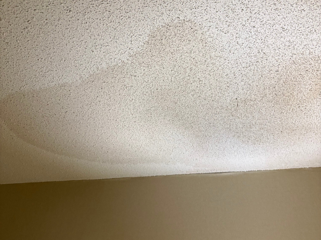 蒂明斯参议员酒店及会议中心主图